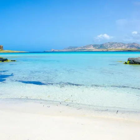 아파트 A Few Steps La Pelosa 스틴티노